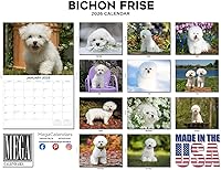 Vista 829 de Razas de Perros 2017