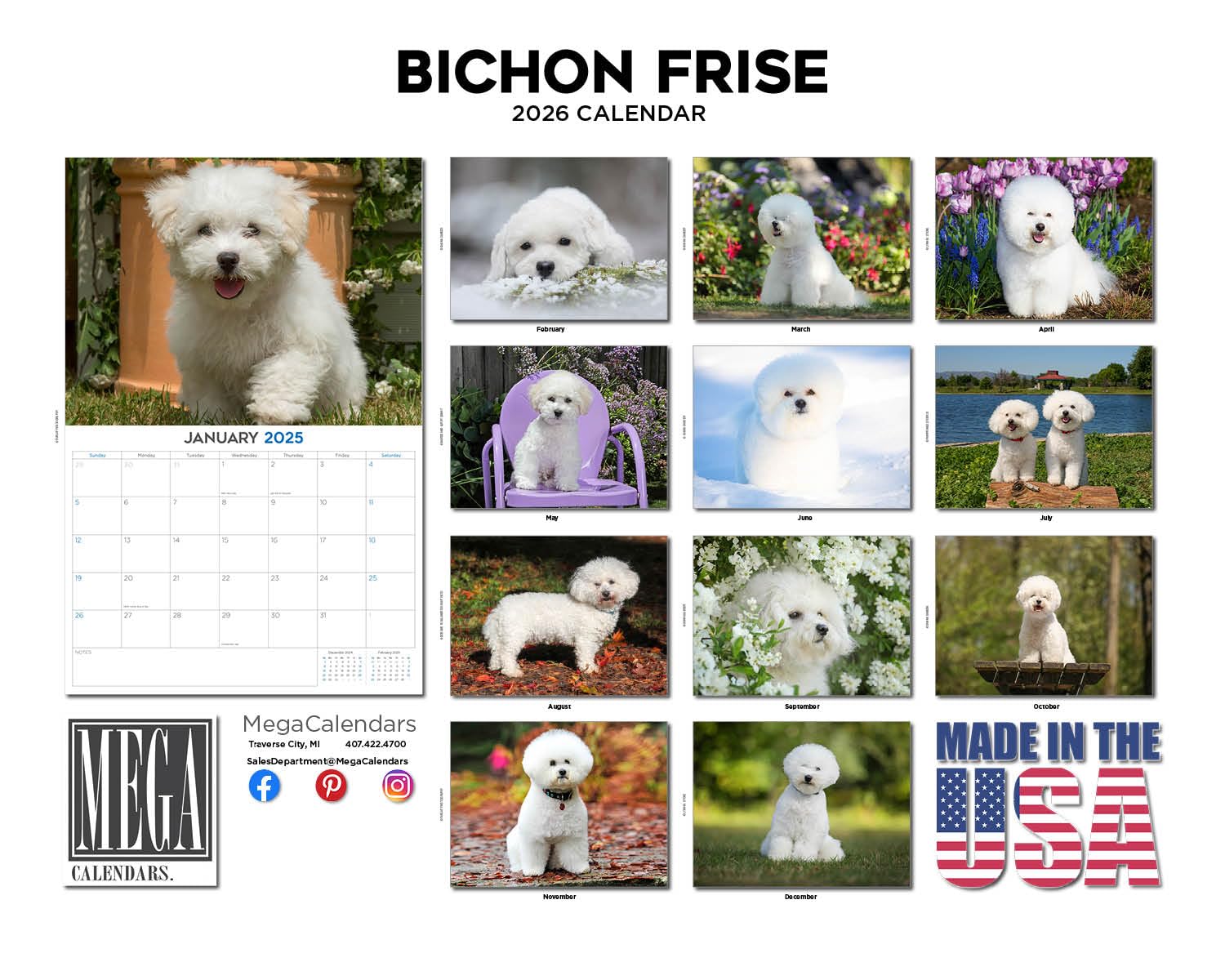 Calendario 2024 2025 Bichon Frise, calendario mensile da parete con razza di cane, 30,5 x 45,7 cm, aperto, carta spessa senza sbavature, regalo, calendario per insegnanti accademici, organizzazione e