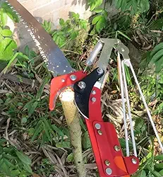 Serrote Podador 2 em 1 para Galhos Altos, Serra e Tesoura de Poda, Vermelho e Preto