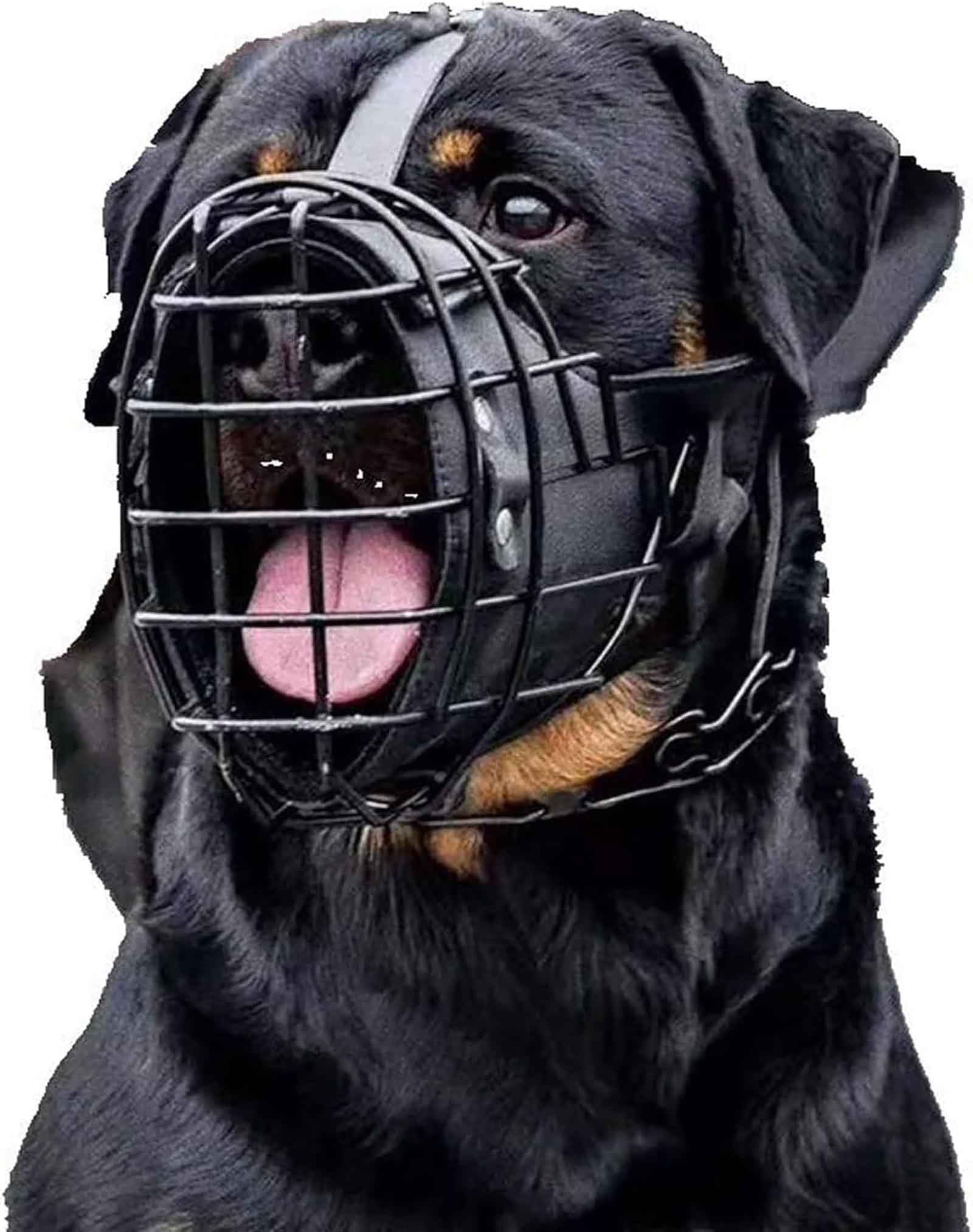 Bozal ajustable de metal y cuero para perros de razas medianas y grandes, ideal para entrenar pastores alemanes, dobermans, rottweilers y más