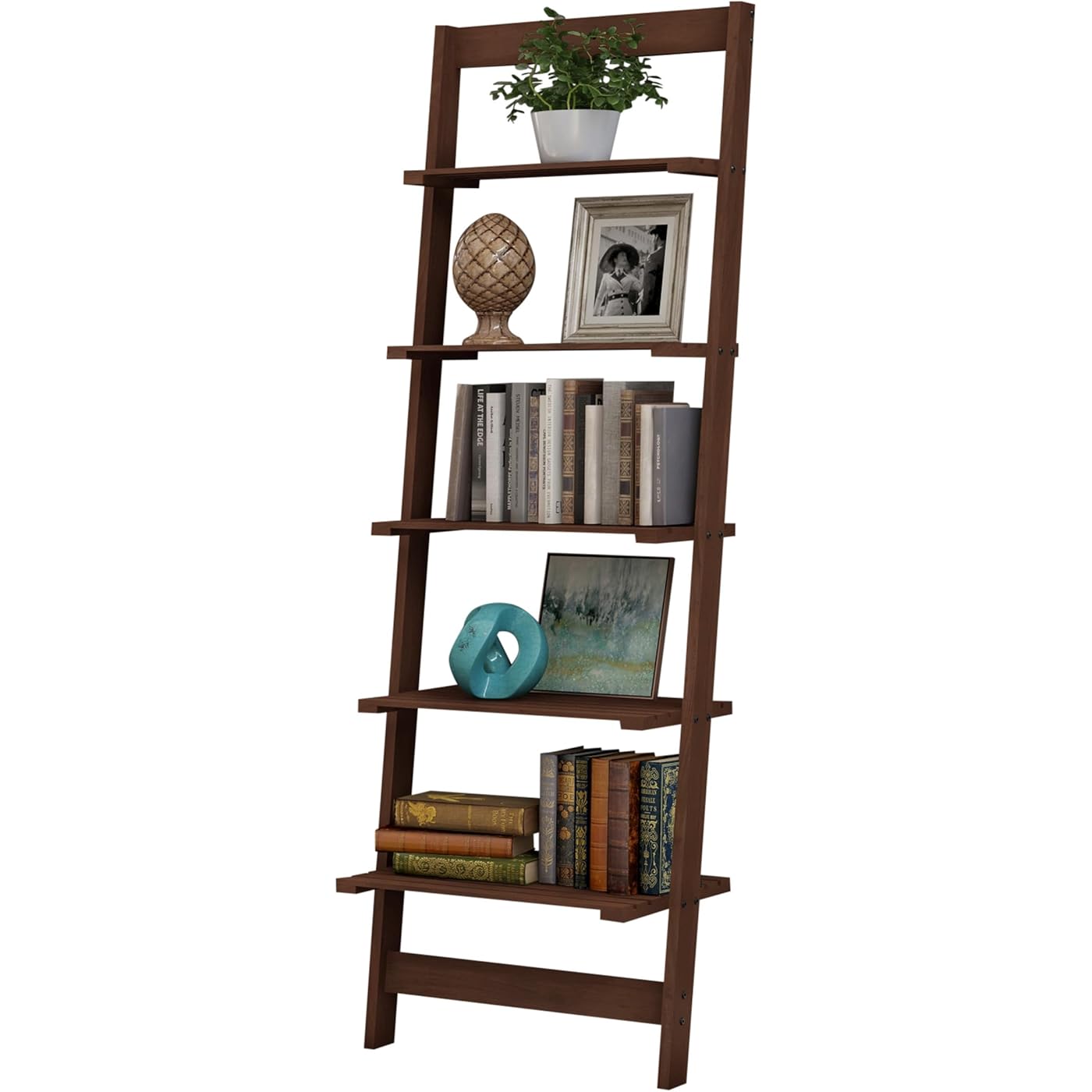 Gallery image 1