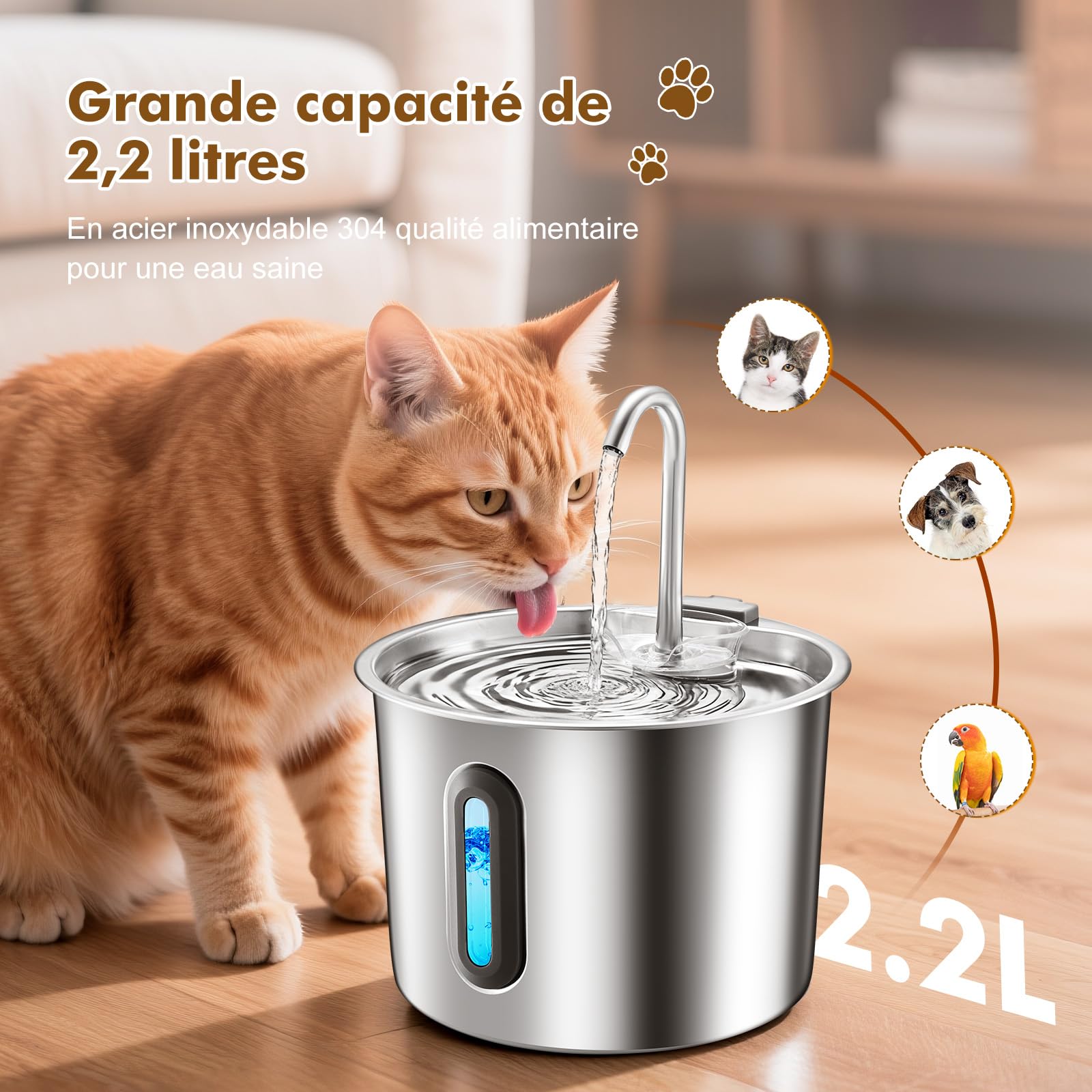 Fontaine a Eau Chat, Automatique inox 2,2 L pour chat et chien – Pompe ultra-silencieuse, fenêtre de niveau d’eau visible, avec filtre et éponge inclus – Idéale pour chats et petits animaux-Rever E101