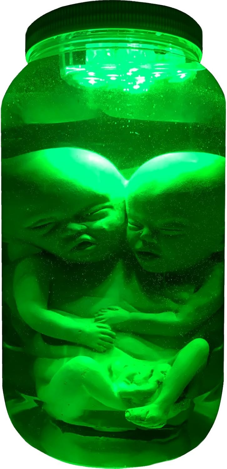 Siamese Twin Conjoined Baby Fetus Prop Specimen