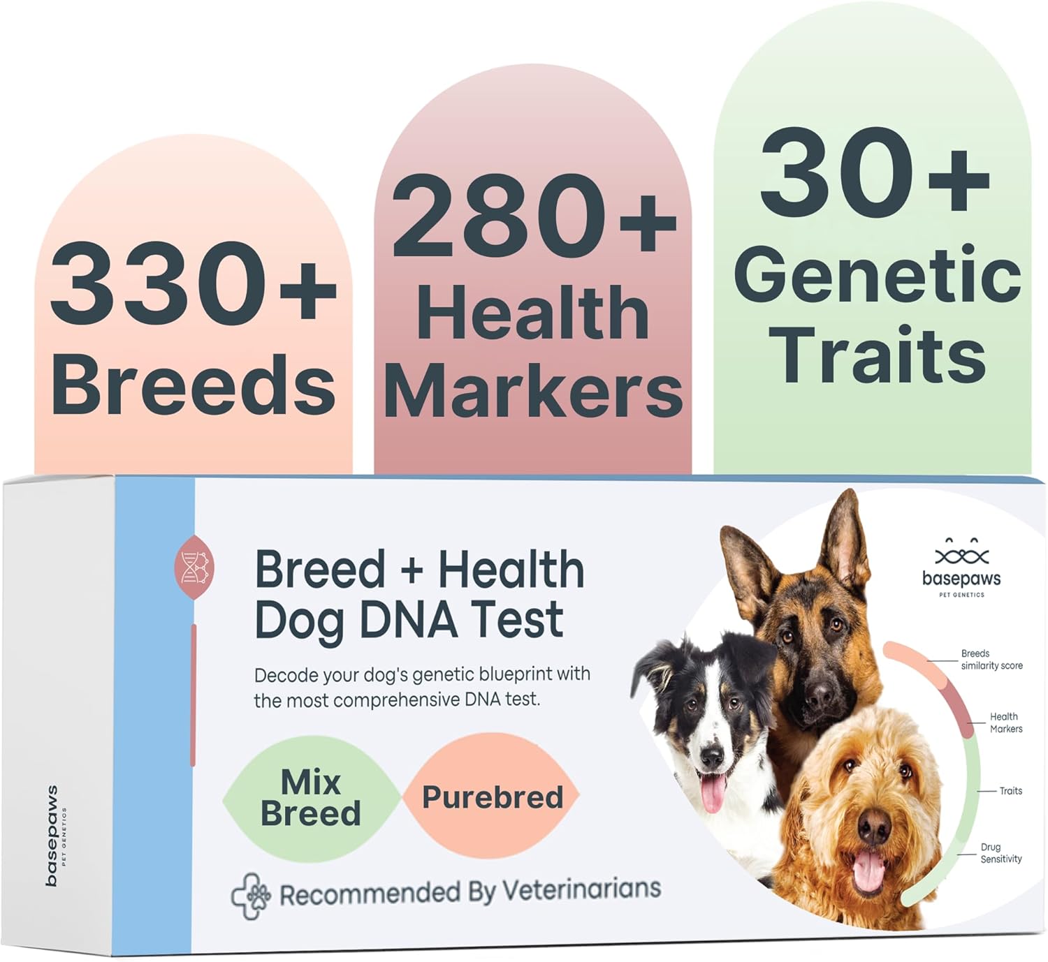 Basepaws Dog DNA Testing Kit - 330+ Breeds