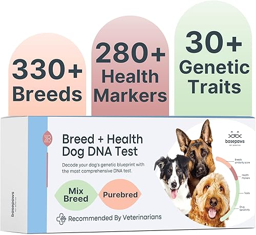 Basepaws Dog DNA Testing Kit - 330+ Breeds, 280+ Health Risks, and 30+ Traits - Comprehensive Mixed Breed Identific