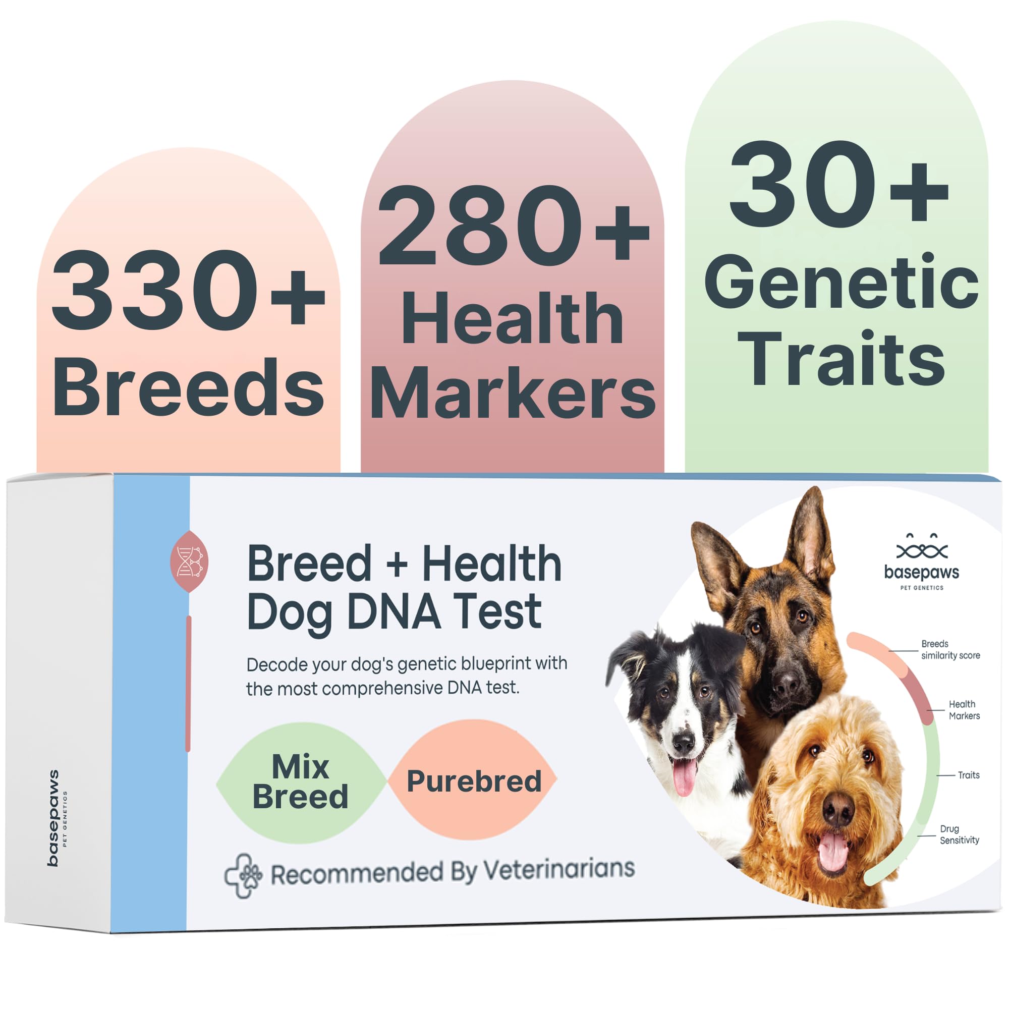 Basepaws Dog DNA Testing Kit - 330+ Breeds, 280+ Health Risks, and 30+ Traits - Comprehensive Mixed Breed Identification, Pet DNA Test kit, Canine Genetic Ancestry and Heritage