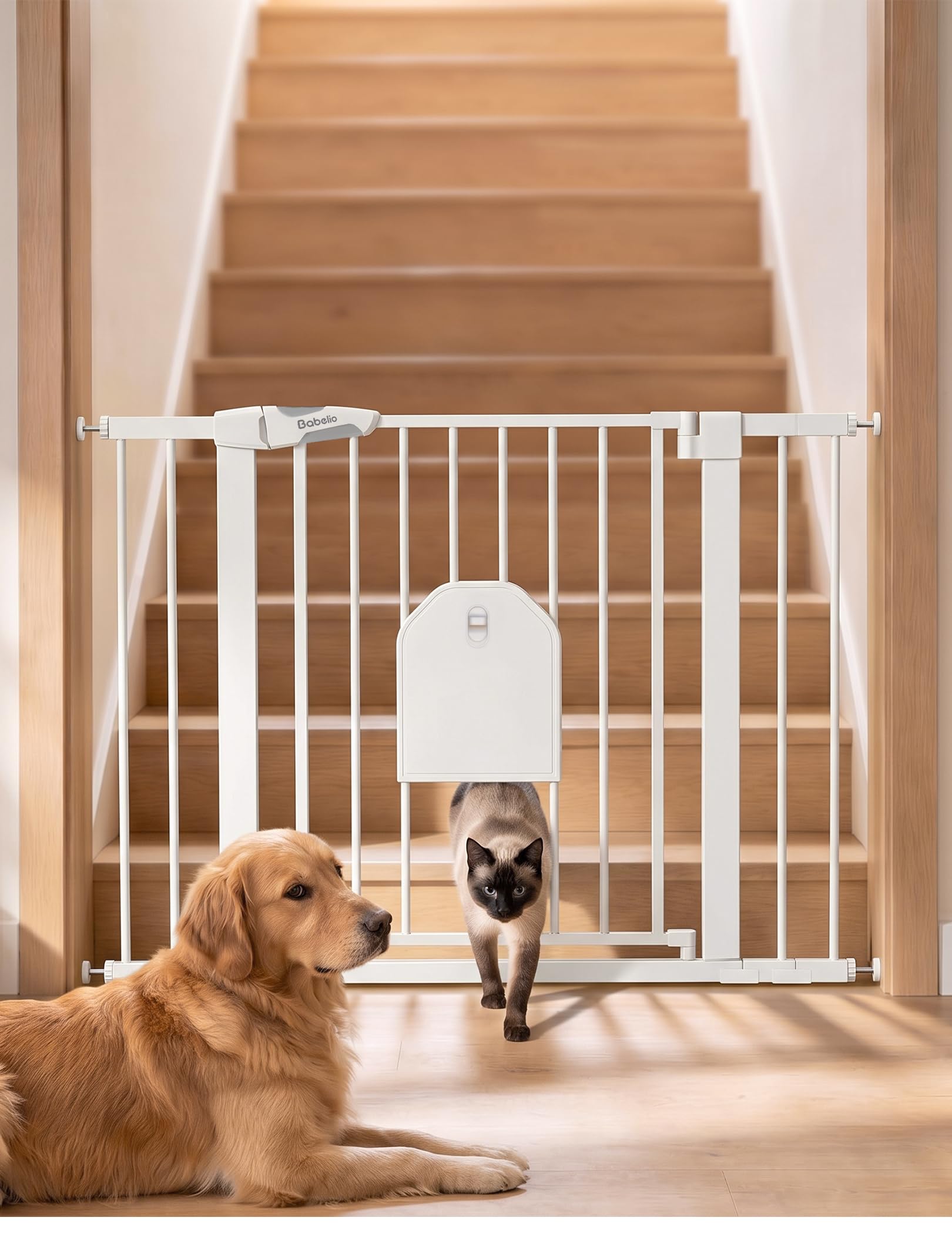 Babelio Auto Close Dog Gate with Cat Door, CatPrivilege I, 29-43"