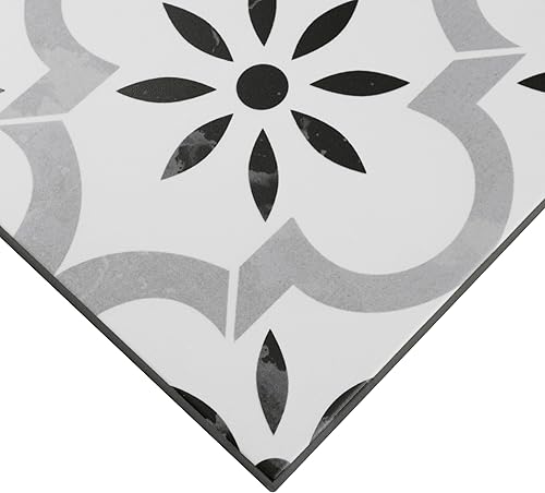 Miniatura 8 de MSI Azila - Azulejo de pared de porcelana mate encáustica de 8 pulgadas x 8 pulgadas para baño, baldosas de piso, salpicaduras de cocina y azulejos