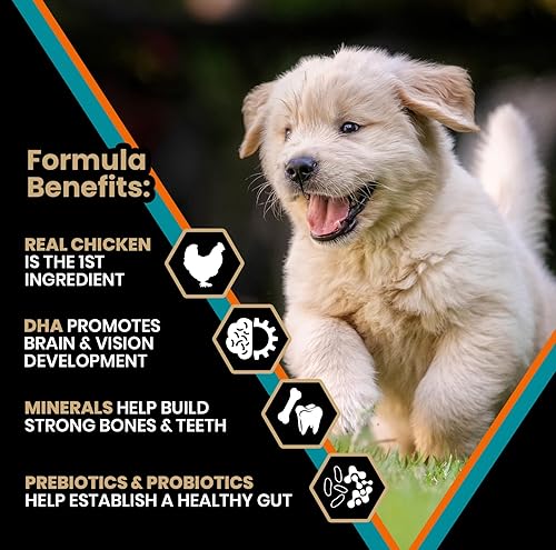 Miniatura 47 de VICTOR Super Premium - Alimento para perros Hi-Pro Plus - Comida seca para perros con alto contenido de proteínas con 30% de proteínas, carne