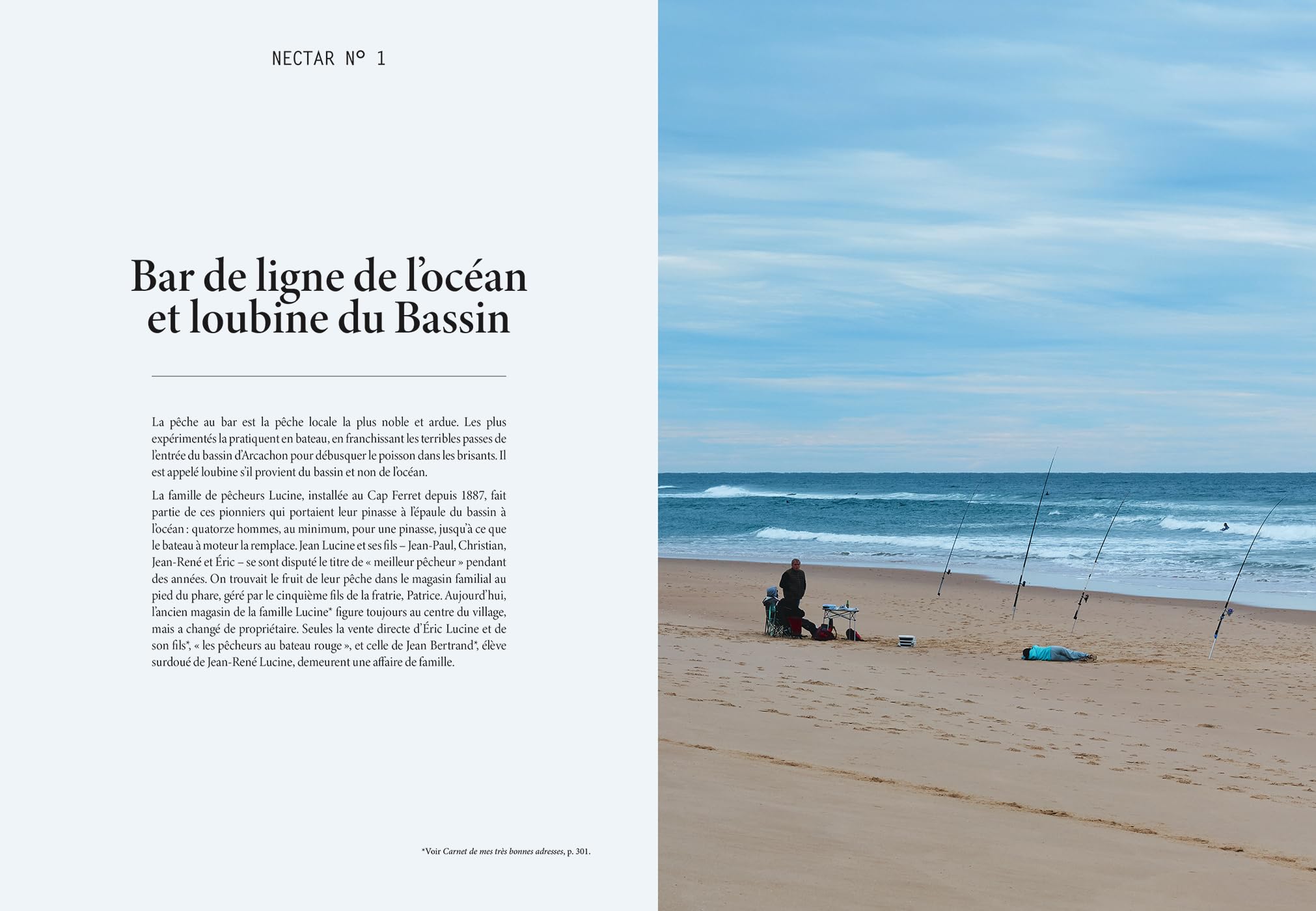 L'été gourmand au Cap Ferret: 44 nectars en 100 recettes