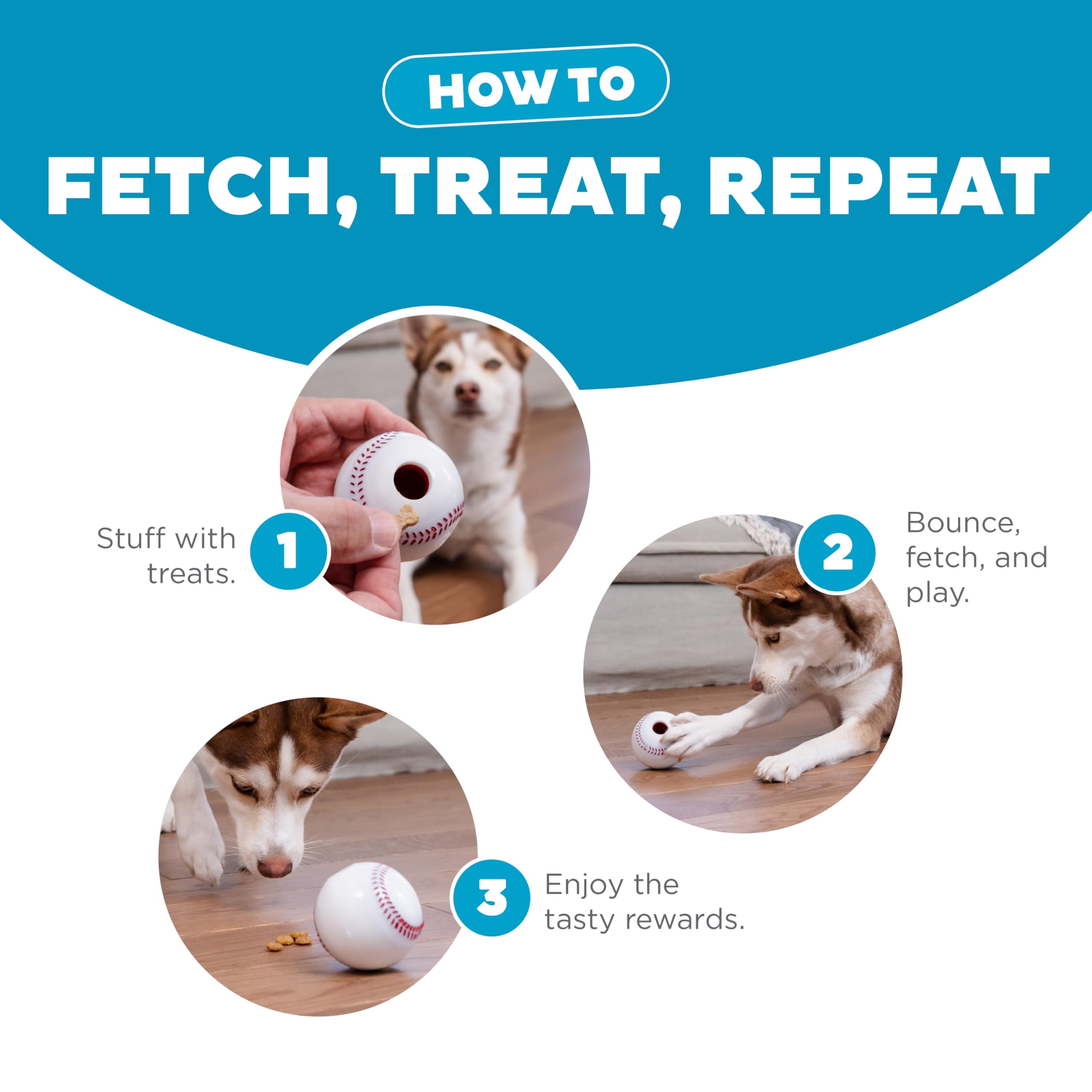 Pet Supplies : Pet Toy Balls : Outward Hound by Planet Dog