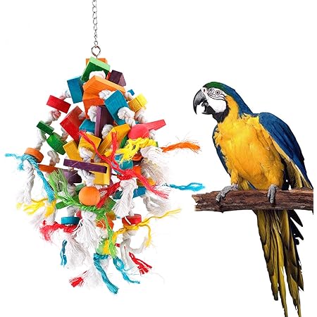 macaw toys amazon
