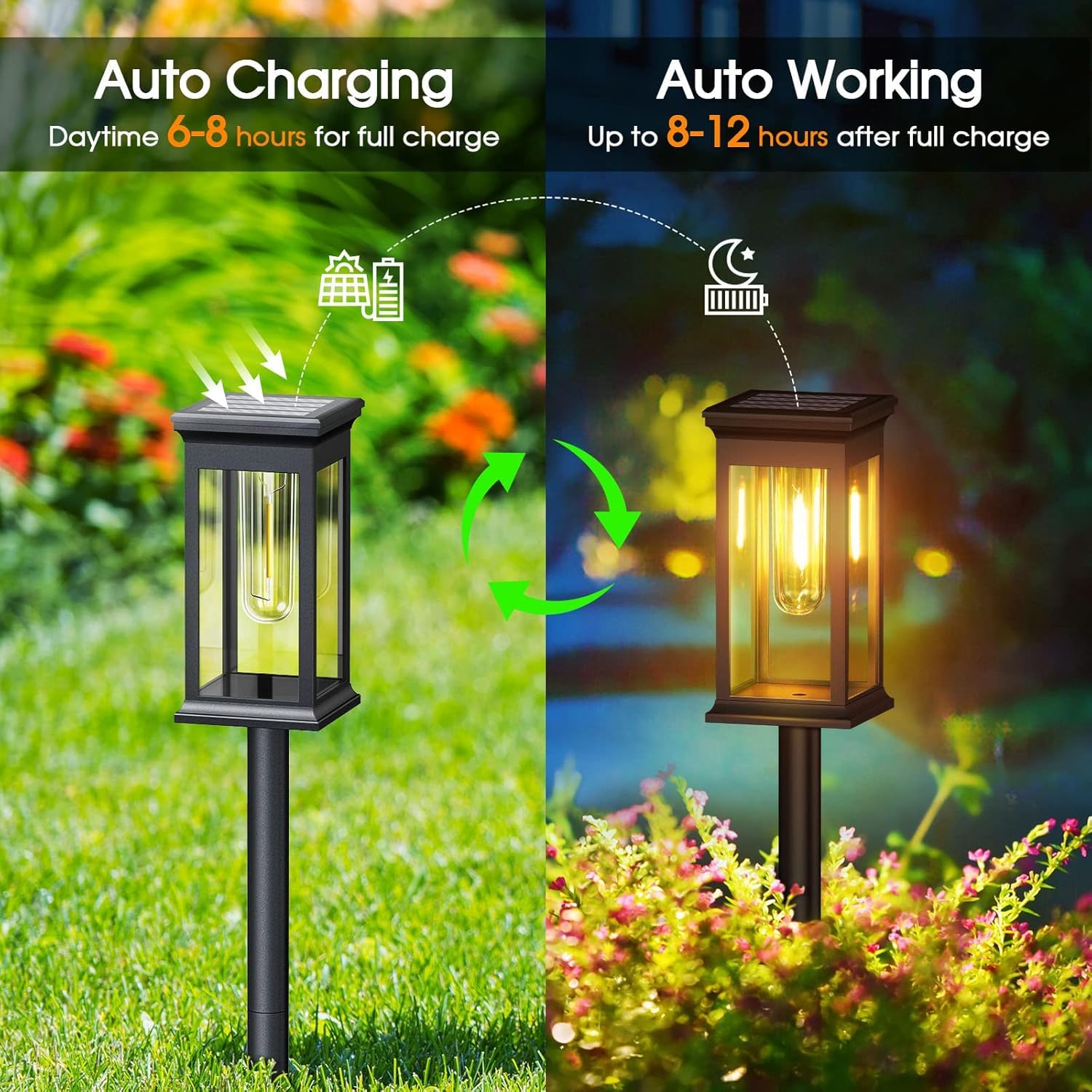 Solpex Solar Pathway Lights - Warm White LED -6