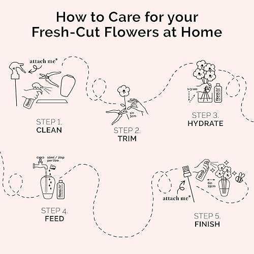 Miniatura 6 de FloraLife Finishing Touch - Spray hidratante de fórmula multivitamínico para flores recién cortadas, 8 onzas