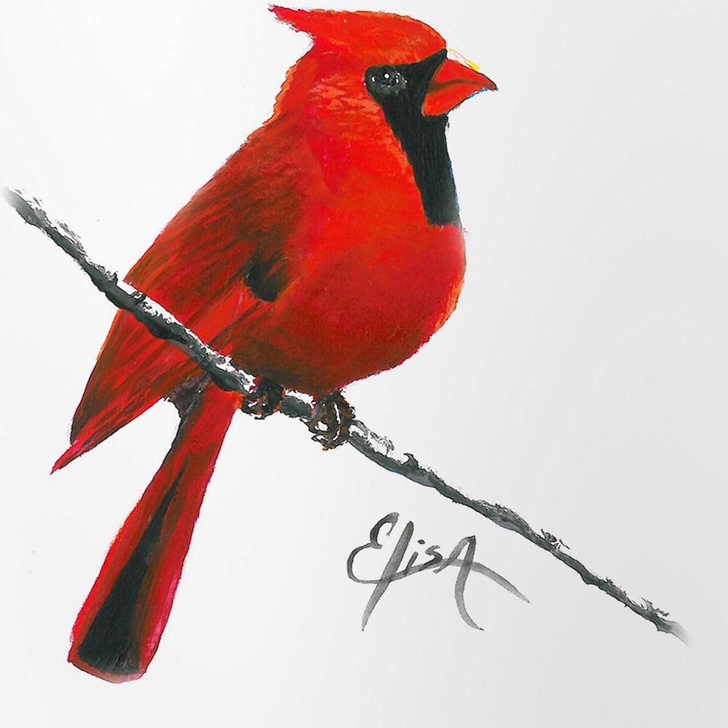 CafePress Cardinal (2) Pint Glass, 16 oz. Drinking Glass