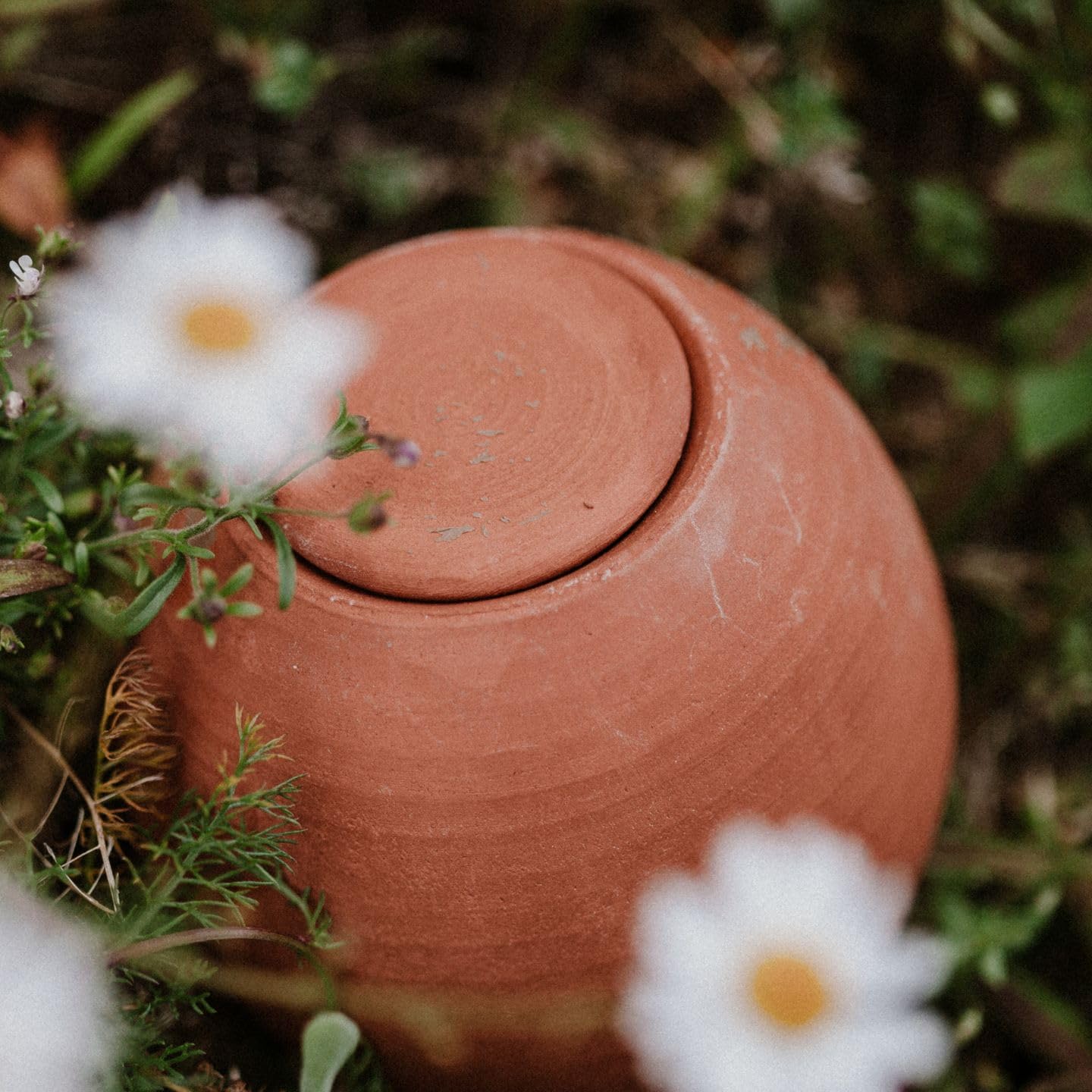 Coffret Ollas à Planter Décoré — Mini Olla 25 cl + Olla Rouge 40 cl + Olla Blanche 40 cl — Plantes d’Intérieur et Aromatiques — Fabrication Artisanale Française — Terre Cuite