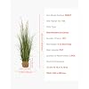 Product Photo 7