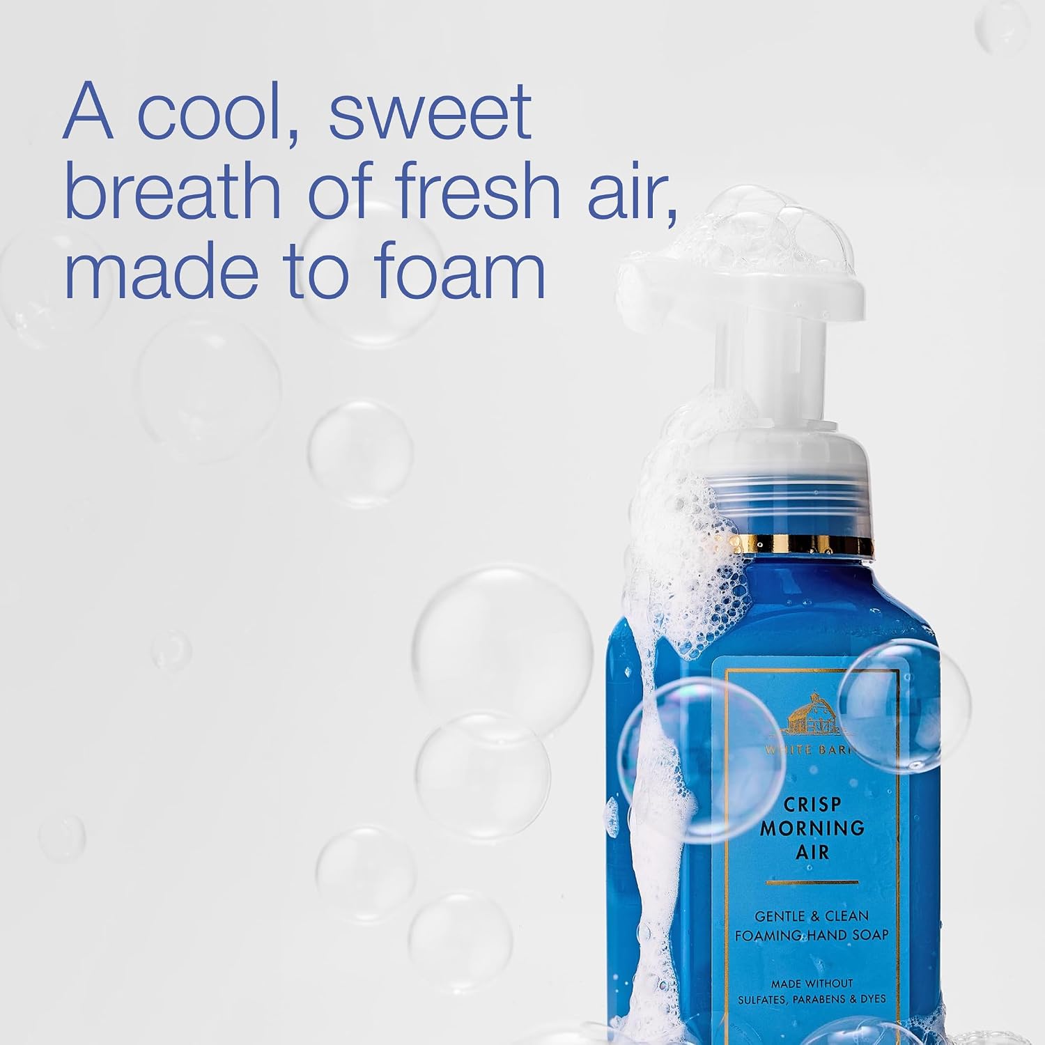 Bath & Body Works Crisp Morning Air Gentle & Clean Foaming Hand Soap - Germ-Cleansing Hand Soap with Gentle Cleansing & Conditioning Formula - Dermatologist Approved - Thoughtful Gift - 3-Pack