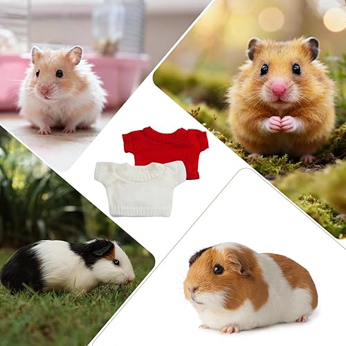 choyaxo 2pcs Guinea Pig Clothes Hamster Costume Guinea Pig Sweater Ferret Clothes Small Animal Outfit(Solid)