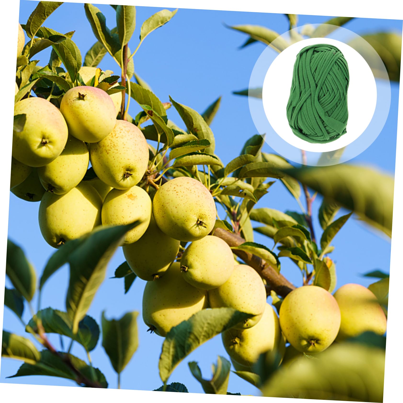 Kisangel 4 Set Fettuccia per Giardinaggio per Piante per E per Trellis E 2 * 4