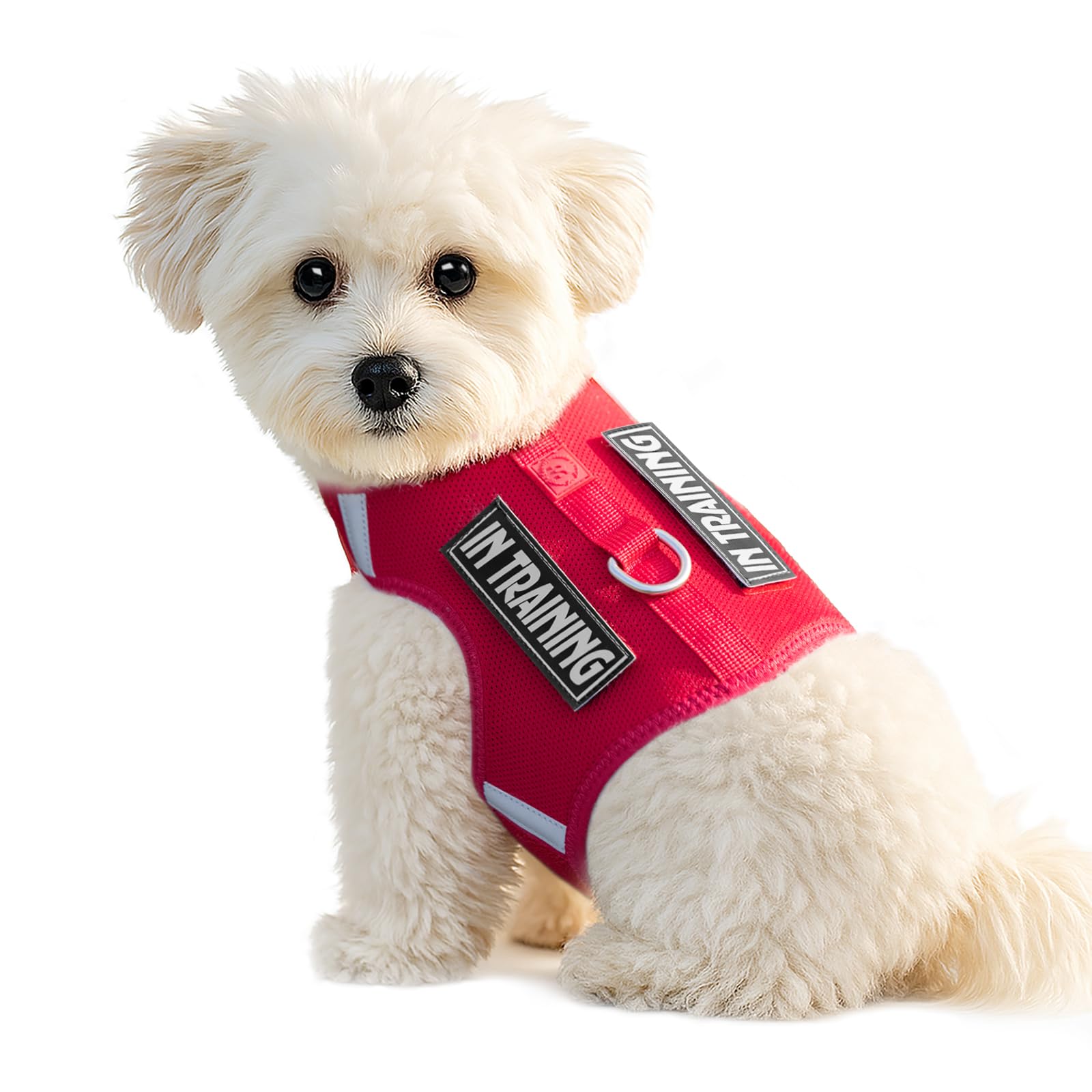 Sunraymascota Dog Harness for Puppy, Adjustable Size, Comfort Soft Vest for Small Dogs, Reflective Design with 2 Patches，Lightweight Breathable Dog Walking and Training (Burgundy Red,XXXS)