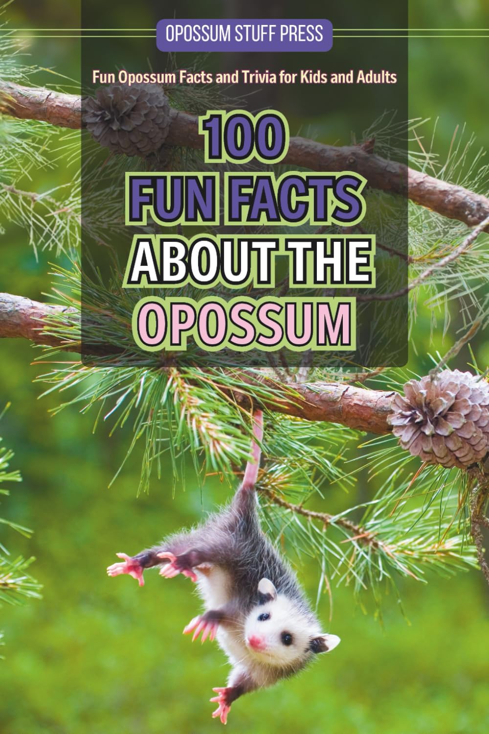 100 Fun Facts About the Opossum: Fun Opossum Facts and Trivia for Kids and Adults