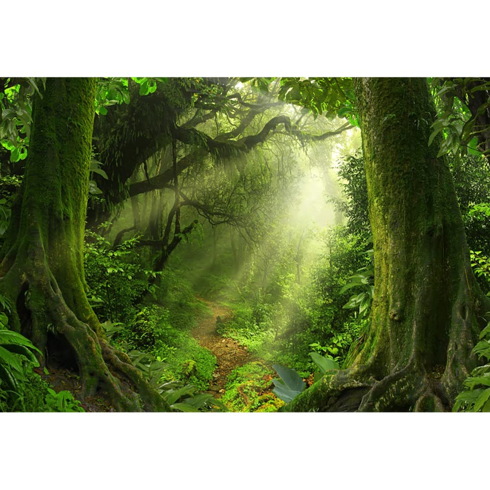 Aoihrraan 2,2x1,5m Enchanted Forest Backdrop Evergreen Tree Magic Jungle Spring Lawn Natural Scenery Sunshine Wonderland Photography Background Baby Shower Party Kids Adult Portrait Photo Studio Props - View #3