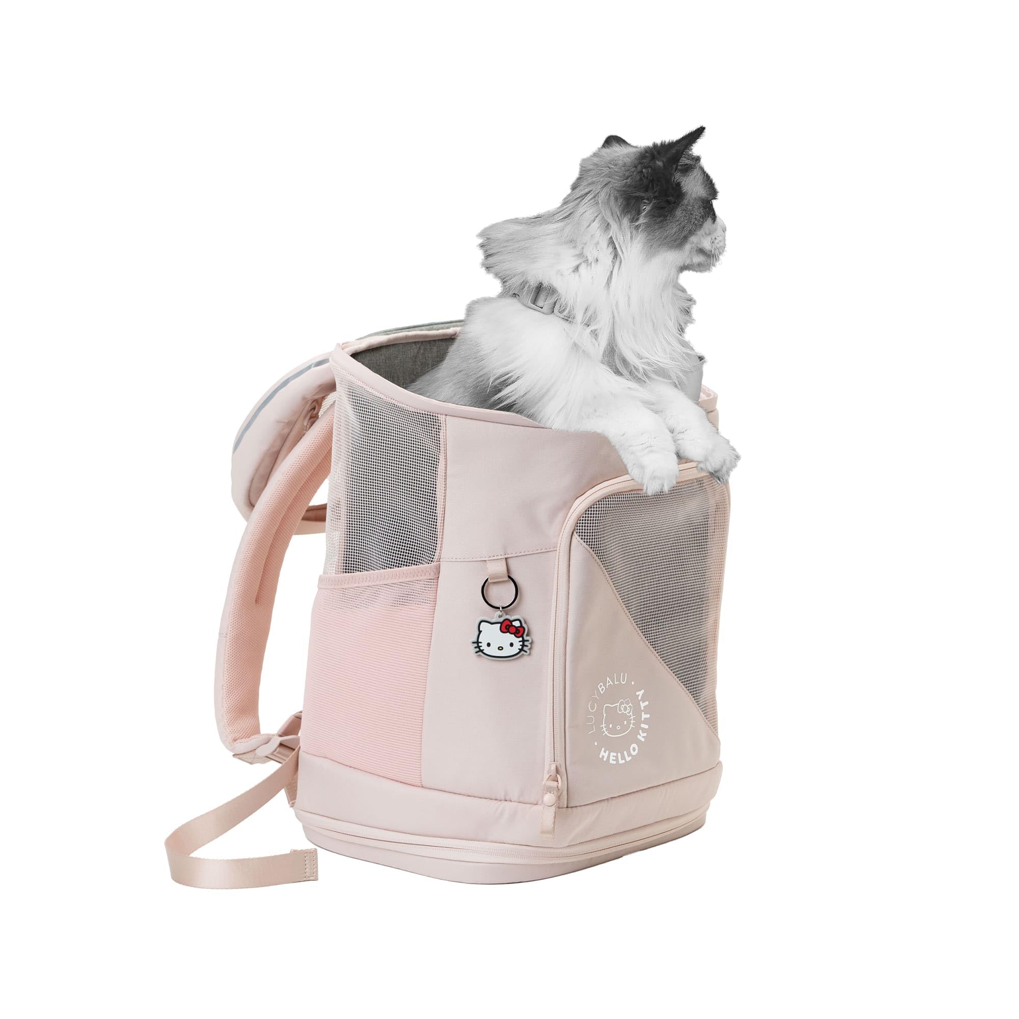 LucyBalu® HOP-ON Premium Katzenrucksack mit Fenster | Katzentransporttasche | Katzenbox | Katzen Transport Rucksack aus recycelten Materialien | Rucksack für Katzen zum Transport | Anthrazit