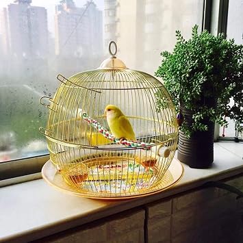 Round Tiger Skin Bird Cage, Outdoor Metal Decorative Ornamental Cage, Retro Golden Parrot Cages, Dove Pearl Bird Canary(Gold-2)