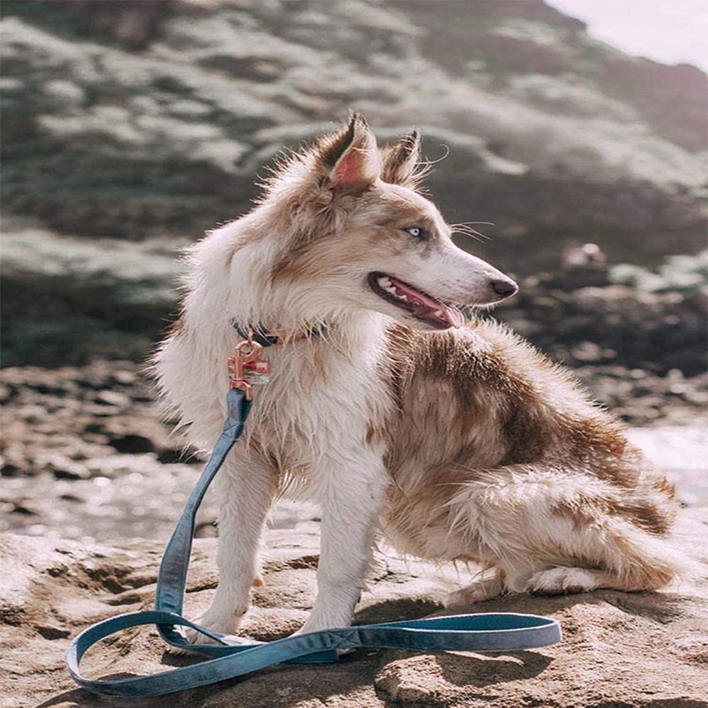 Juego de collar y correa para perro, collar y correa de terciopelo con hebilla de liberación rápida, collares ajustables para perros pequeños, medianos y grandes, para caminar y correr (collar: 7.9