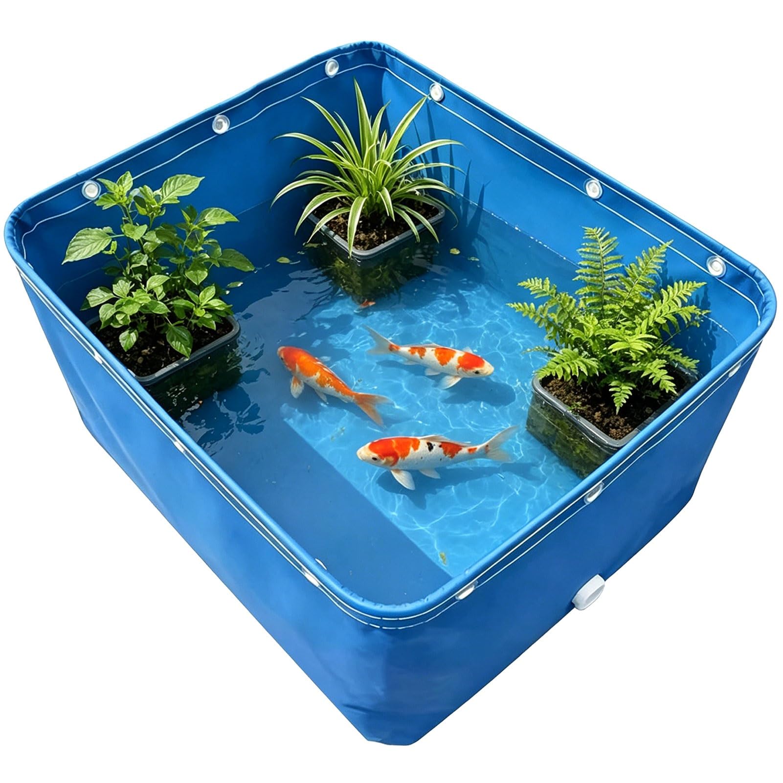 Bassin hydroponique grand format en toile PVC pour cultiver hors-sol facilement