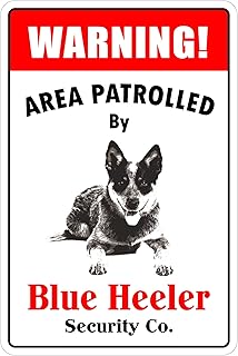 StickerPirate Warning Area Patrolled by Blue Heeler 8"X12" Novelty Dog Sign