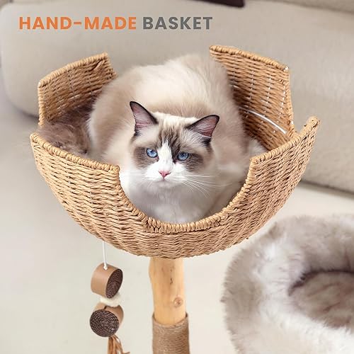 Miniatura 6 de PEGIC Torre de árbol para gatos con dos ramas reales, torre moderna de madera para gatos de 44 pulgadas con condominio de lujo, poste rascador para