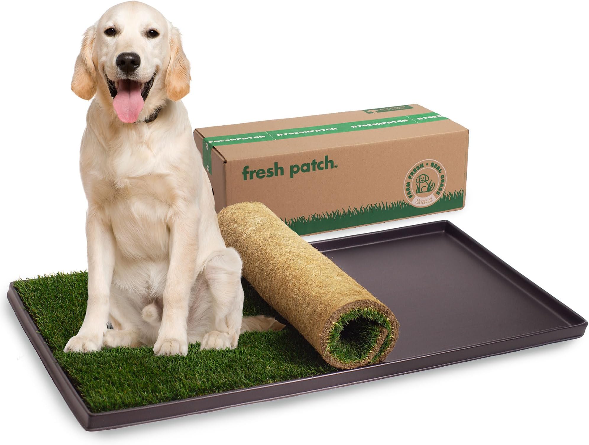 Fresh Patch XL Bundle - Real Grass Pee and Potty Training Pad and Plastic Tray for Multi-Dog Households - Indoor and Outdoor Use - 48 Inches x 24 Inches