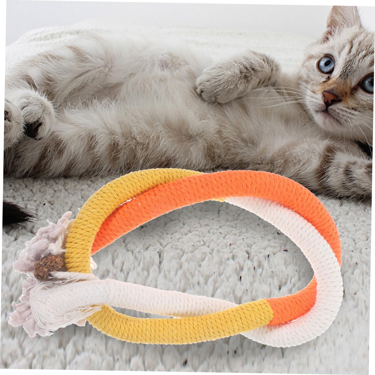 INOOMP 15pièces Jouets à Mordre pour Chats Jouets Interactifs Corde à Chat pour Éveiller Instinct De Jeu Nettoyage Intérieur