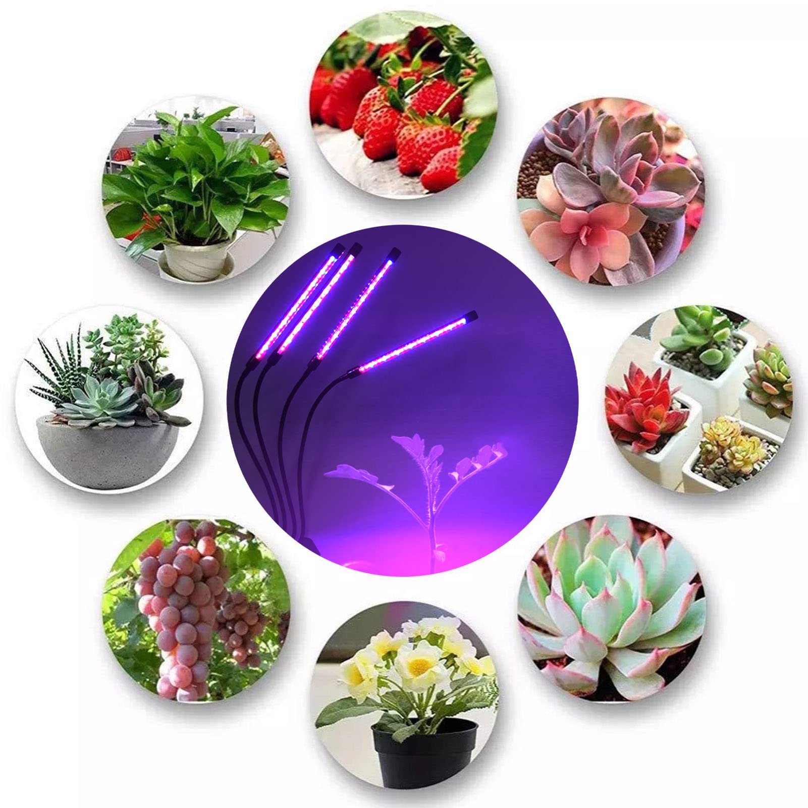 Plant Grow Light, 4 głowice Full Spectrum Growing Light 40W 3 ściemnialne poziomy Lampa LED do roślin z zaciskiem i zegarem do roślin domowych
