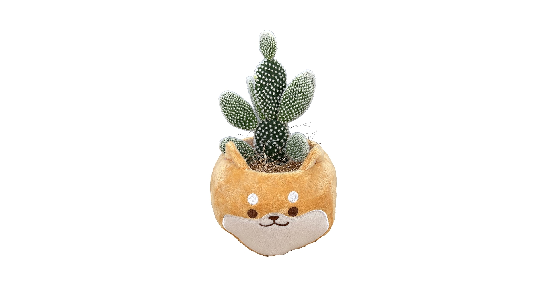 サボテン♡バスケット Amazon｜花のギフト社 さぼてん ウチワサボテン 柴犬バスケット