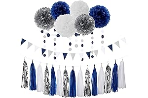 Navy Blue and White Homecoming Car Decorations 2024