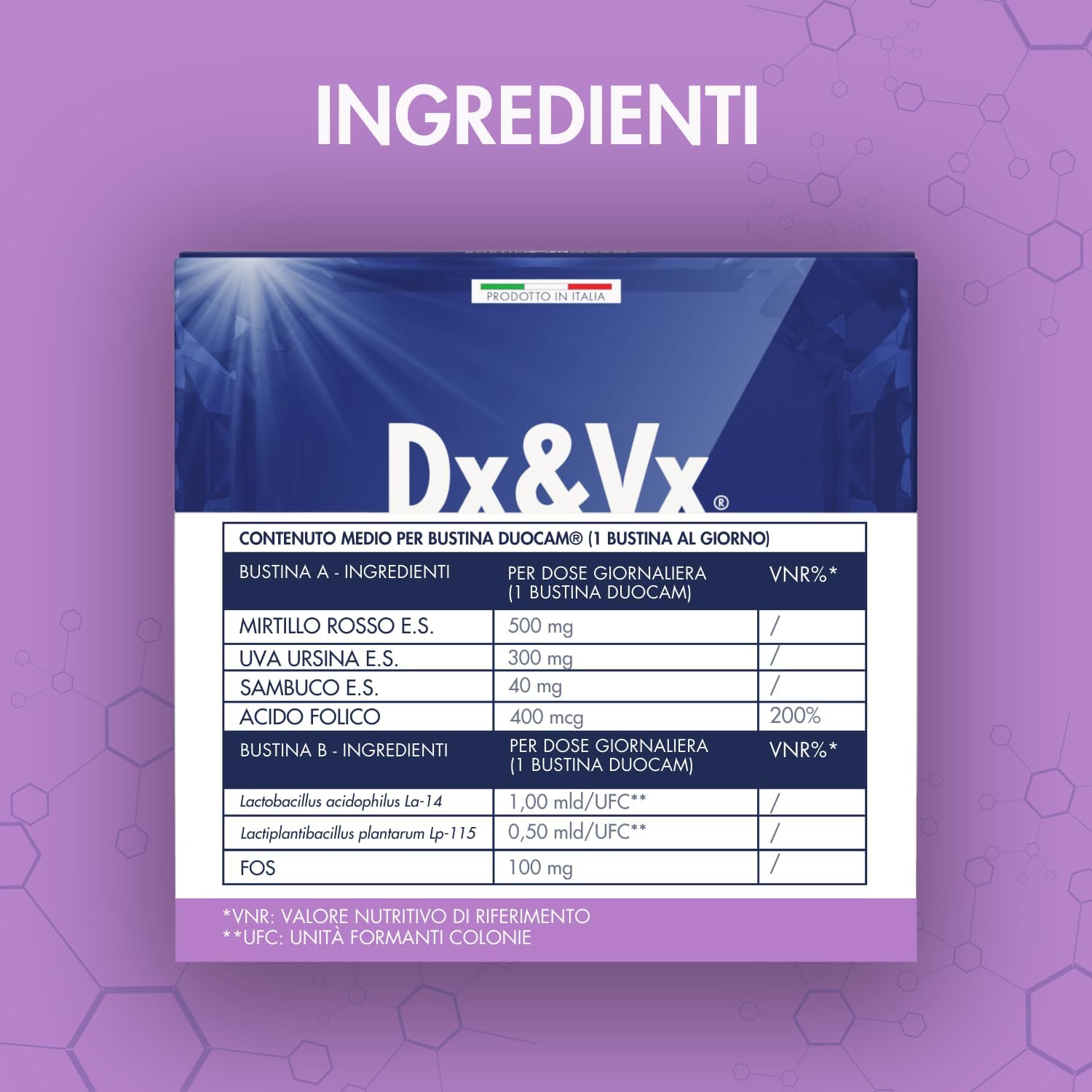 Dx&Vx Vie Urinarie Donne, Integratore per la Funzionalità delle Vie Urinarie, con Fermenti Lattici Vivi, Mirtillo Rosso, Uva Ursina e Acido Folico, Made in Italy, 28 Bustine