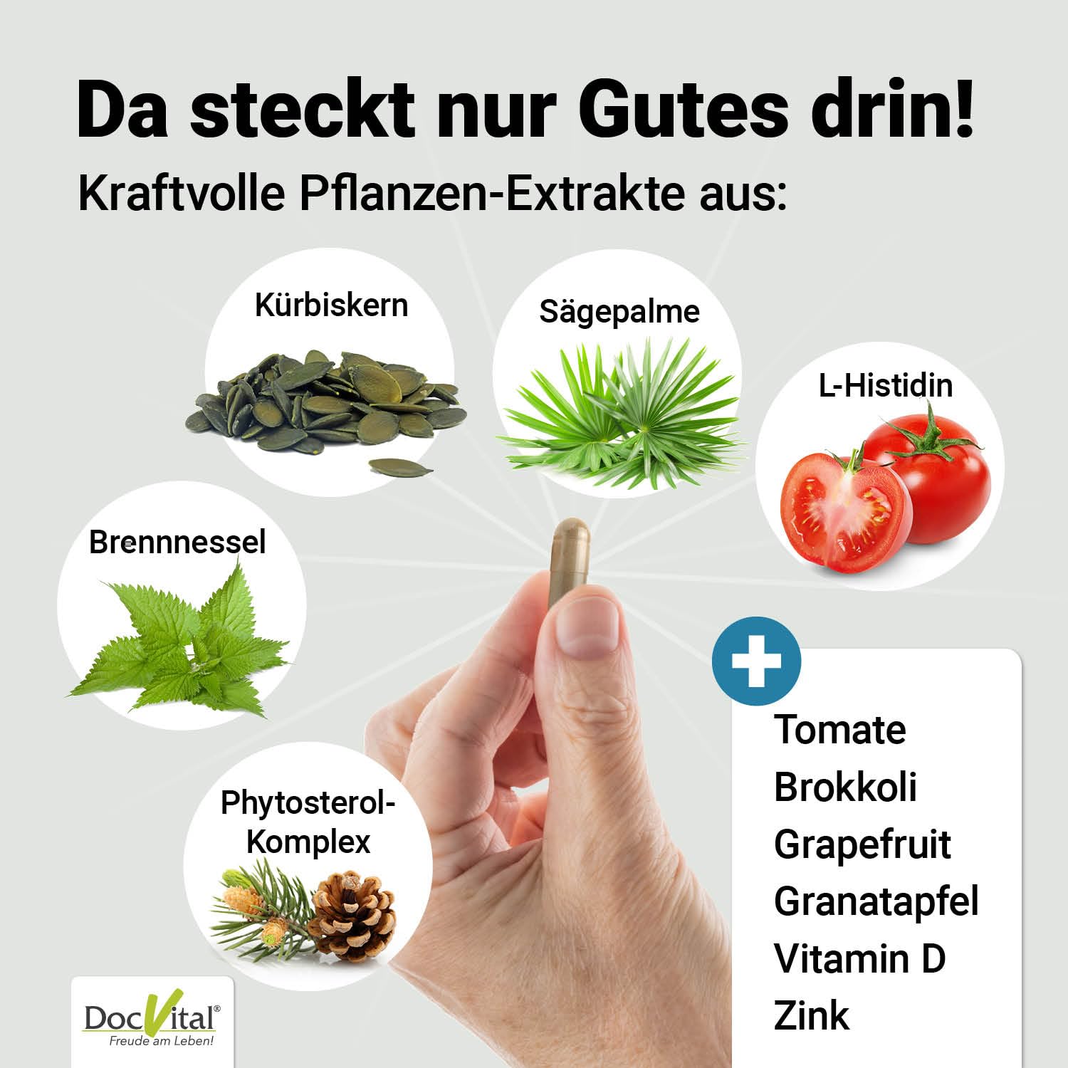 Prostata Komplex Kapseln - 2 Monatsvorrat - Sägepalmenextrakt, Kürbiskernextrakt, Zink, Vitamin D3 & mehr - Prostat-A Vital Komplex in pharmazeutischer, deutscher Qualität