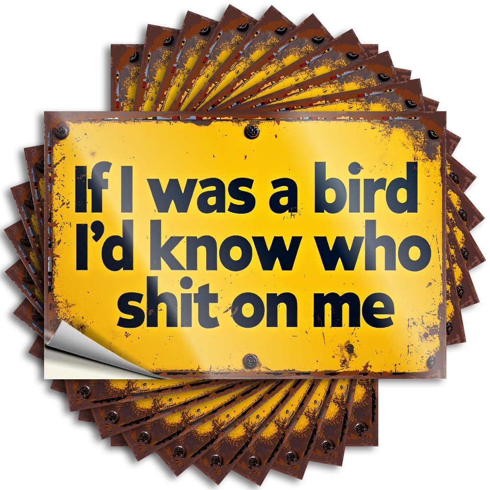 Fzfn Boys Colour If I Was A Bird, I'd Know Who Shit On Me. Home Bar Decor Western Bathroom - Decal Helmet Waterproof Decal(8X12cm)