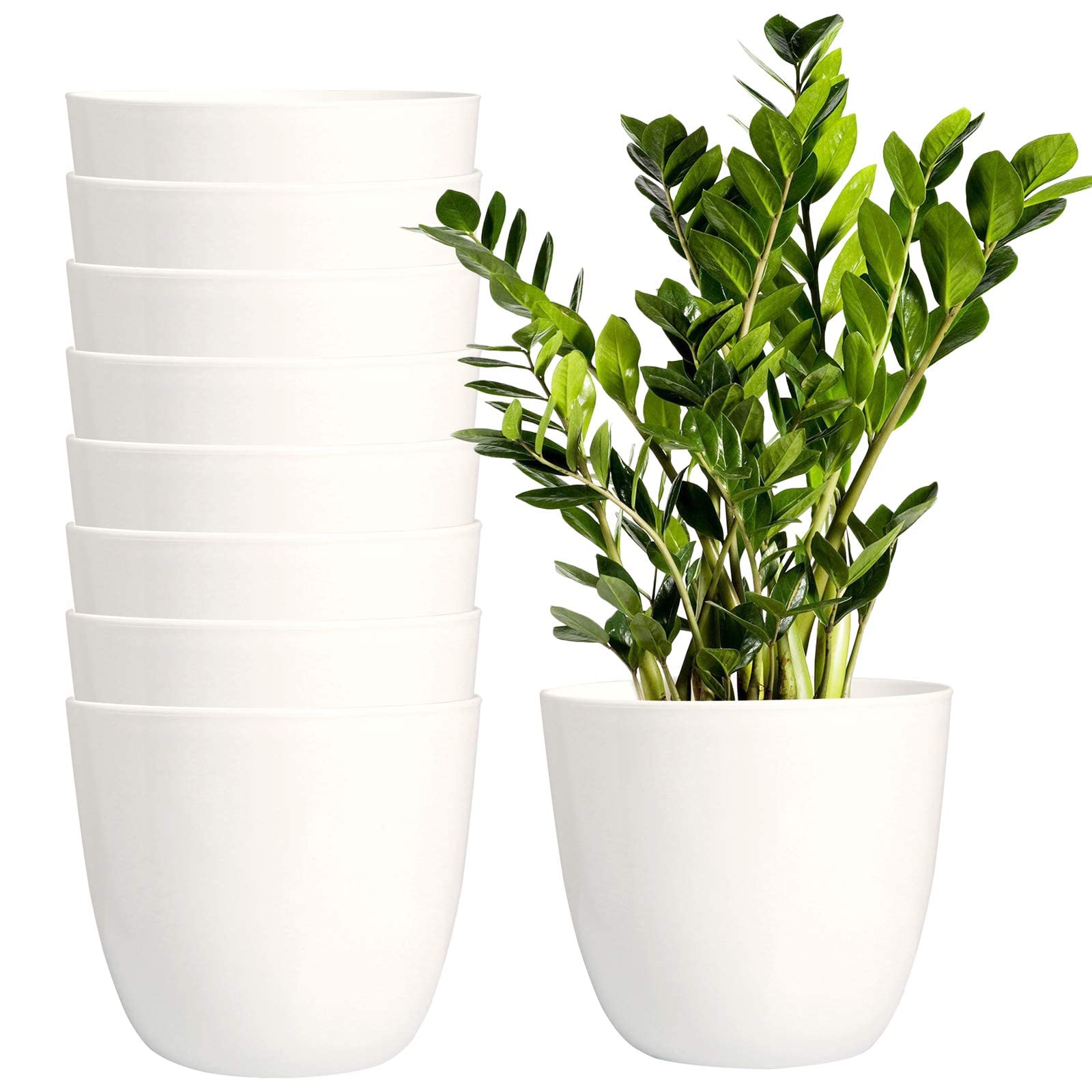 VARSHNEY Gardening 5 inches White Color Cool Round Flower Plant Container - Set of 10 (B0BB197KF5) Amazon Price History, Amazon Price Tracker