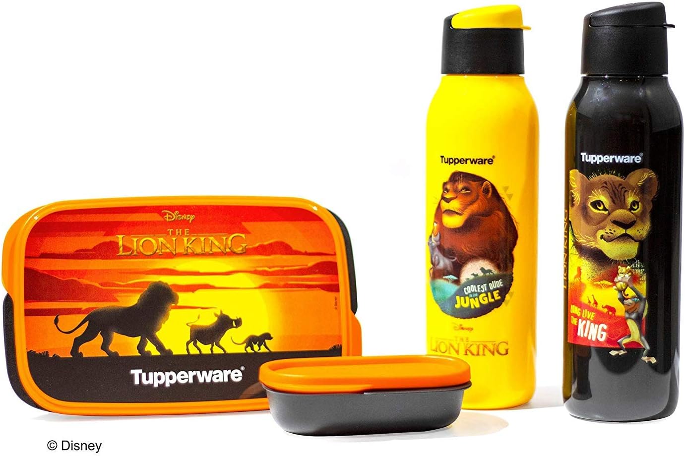 Tupperware Plastic Lunch Container & Water Bottle Set, 750ml, Lunch Container and 2 Tupperware Bottles , Blue