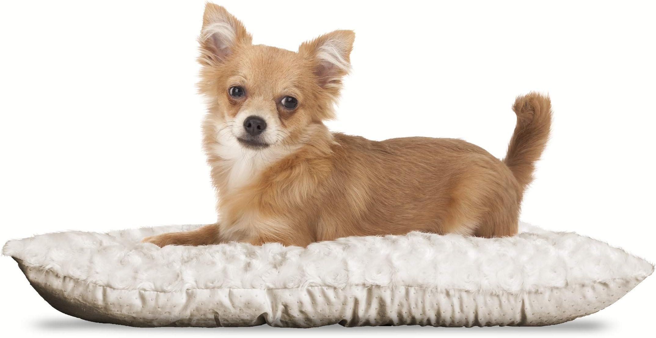 Furhaven Pillow Pet Bed for Dogs and Cats - Ultra Plush Curly Fur Crate or Kennel Dog Bed Mat Cushion, Washable, Latte, Extra Small