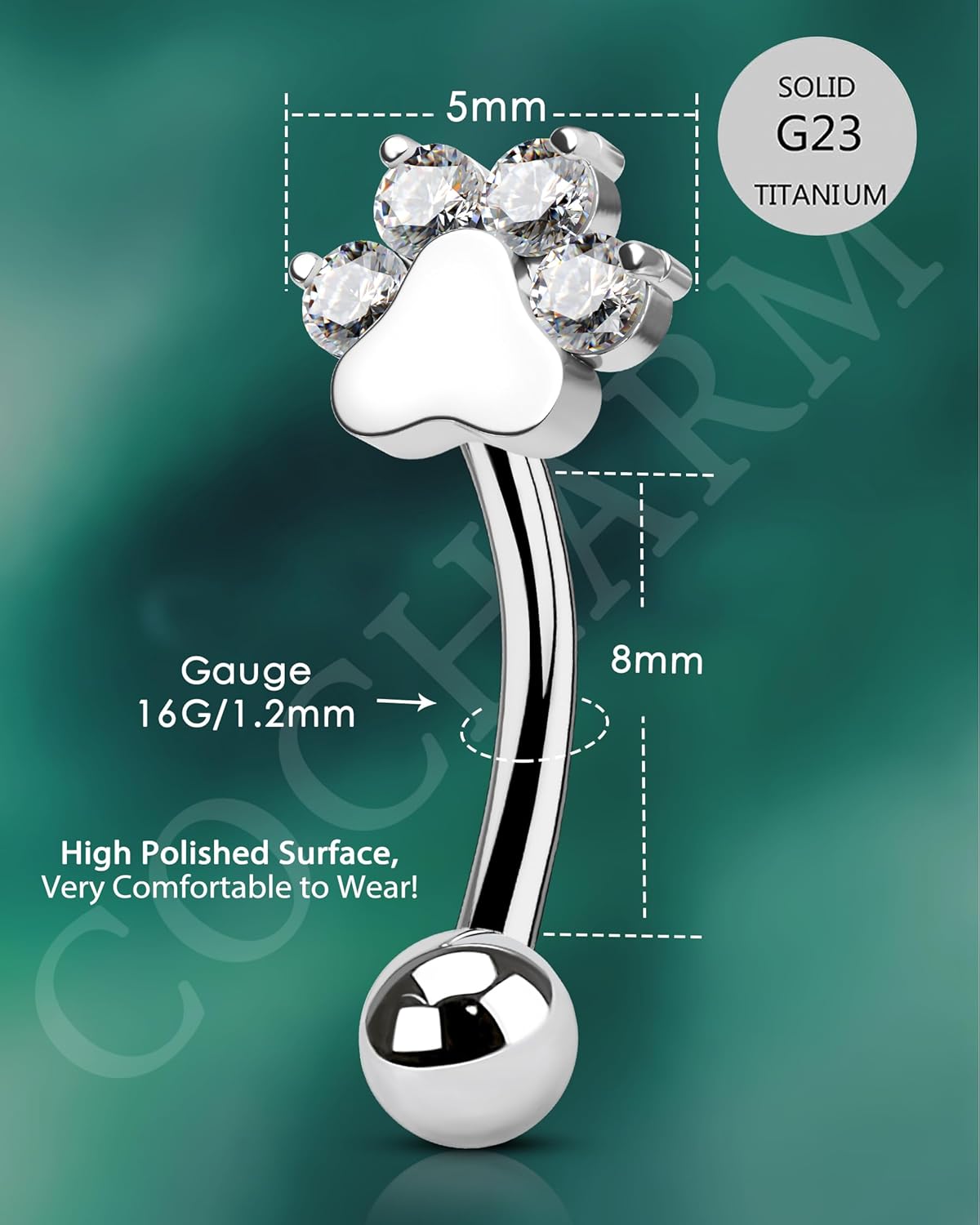 COCHARM Cute G23 Titanium Paw Print Rook Earrings for Women Men-6mm, 8mm 16g Rook Piercing Jewelry Puppy Surgical Steel Eyebrow Rings Internally Threaded Dainty Eyebrow Barbells - Image 3