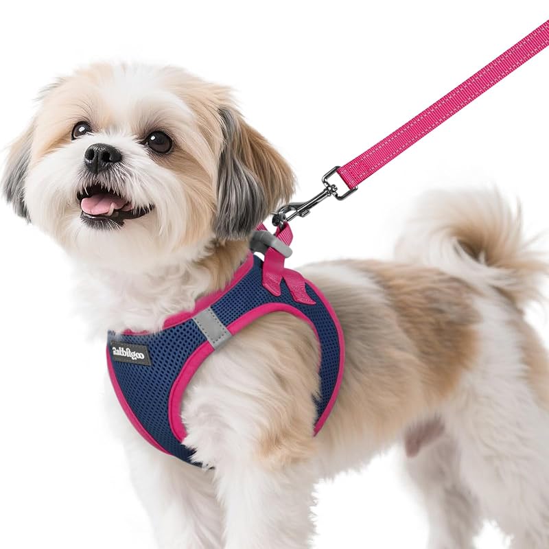 Peitoral vest para cães pequenos rabbitgoo com guia, tecido respirável Navy Blue & Rose Red, tamanho S, conjunto com 1