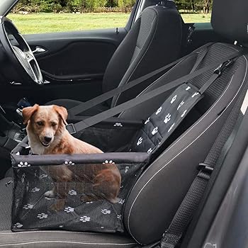 dog car safety products