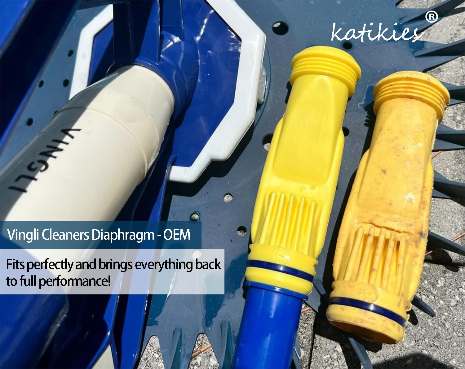 Amazon.com: katikies Daveyspa Long Life Diaphragm W69698, G3 PRO