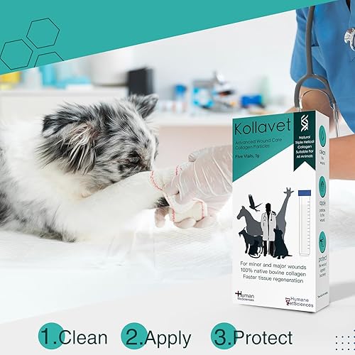 Vista 4 de Apósito para el cuidado de heridas de animales recomendado por veterinarios para gatos, perros, caballos, reptiles, mascotas y animales de trabajo