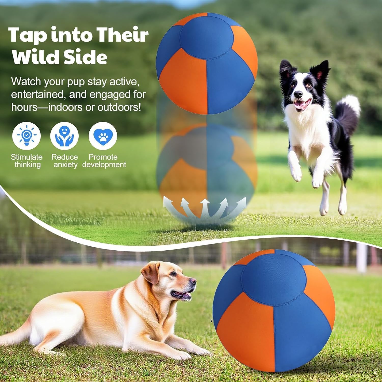 Herding Ball for Dogs - Durable Waterproof Dog Toy, Dual-Layer Large Interactive Pet Play Ball for Australian Shepherds, Cattle Dogs, Collies, and All Herding Breeds